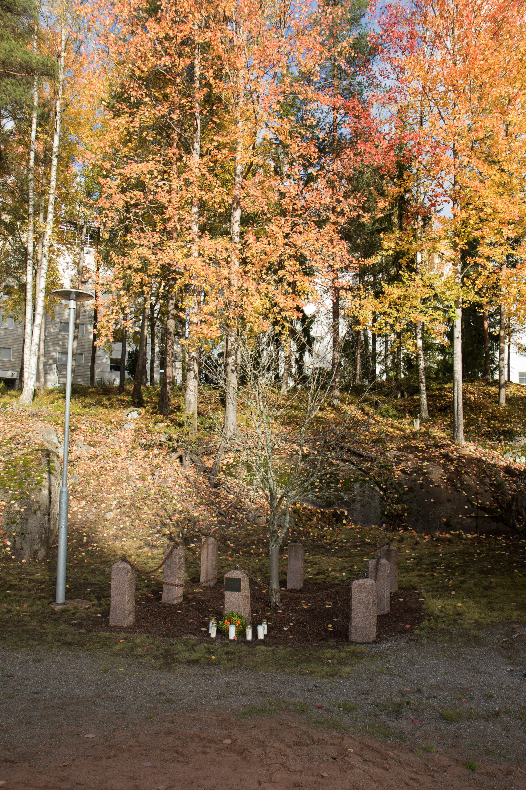 Värikuva muistomerkistä, jossa on puu, sen ympärillä kiviä ja palavia kynttilöitä. Taustalla näkyy syksyistä värikästä metsää.