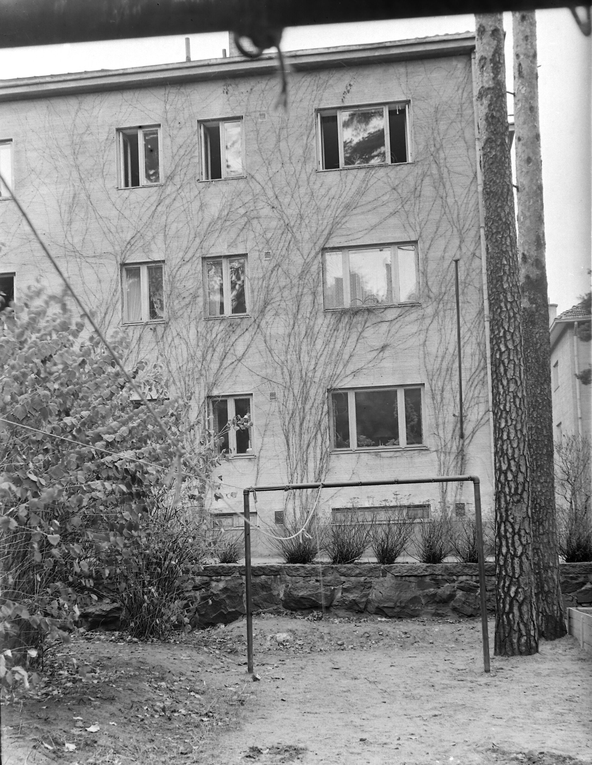 Mustavalkoinen kuva kolmikerroksisesta asuinrakennuksesta, jonka seinää peittää köynnöskasvi. Etualalla on hiekkaista maata, pensaita ja metallinen teline.