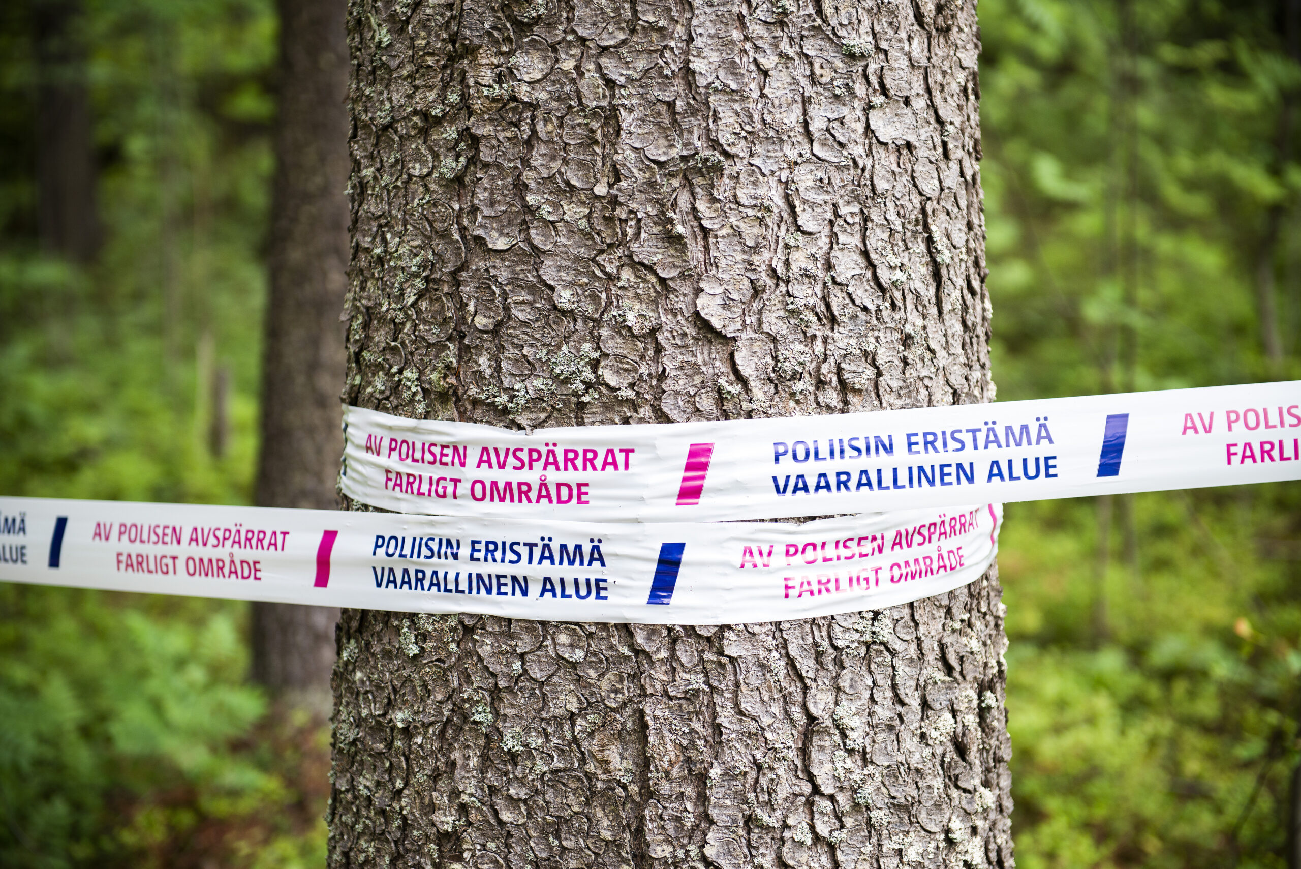 Värikuva, jossa poliisin käyttämää sulkunauhaa on kiedottu puunrungon ympärille metsässä. Nauhassa lukee "POLIISIN ERISTÄMÄ VAARALLINEN ALUE" ja ruotsiksi "AV POLISEN AVSÄRRT FARLIGT OMRÅDE".